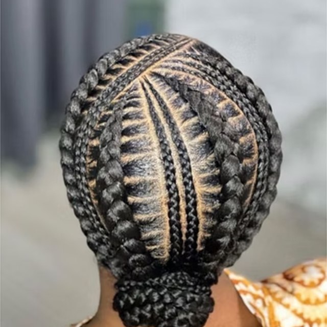 Braided bun viewed from the back